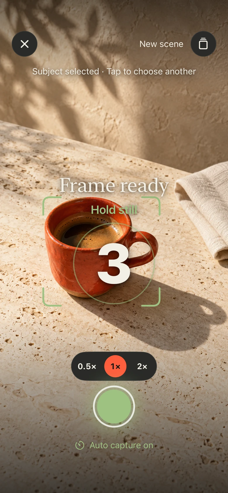 Frame ready, with an auto capture countdown